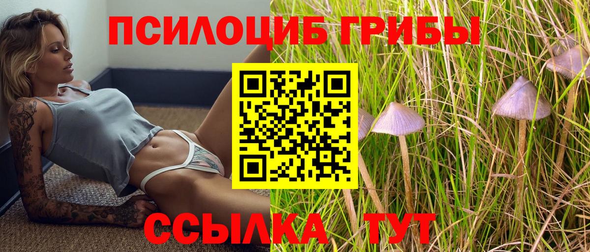 Кандалакша  Галлюциногенные грибы Psilocybe  Вход с VPN 