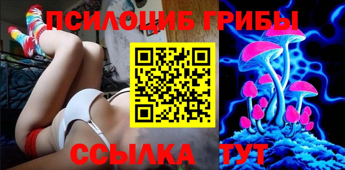 Галлюциногенные грибы мухоморы Кандалакша